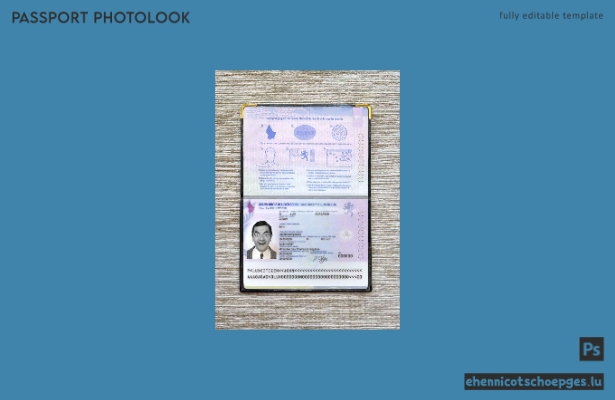Beispielansicht eines Passfotos für Luxemburg